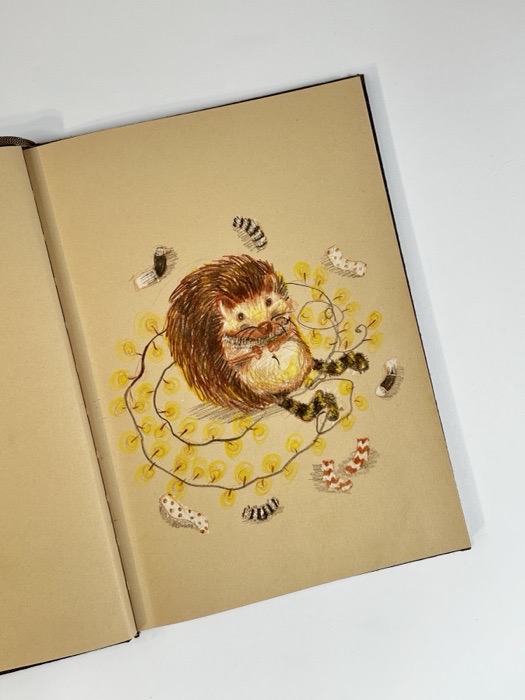 Sketchbook page: a hedgehog curled.