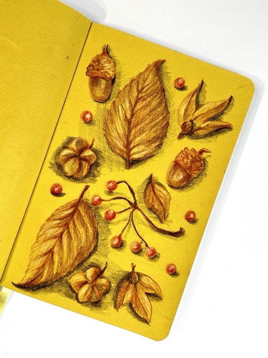 Sketchbook page: acorns, berries and leaves laid out as an autumn study, on yellow.